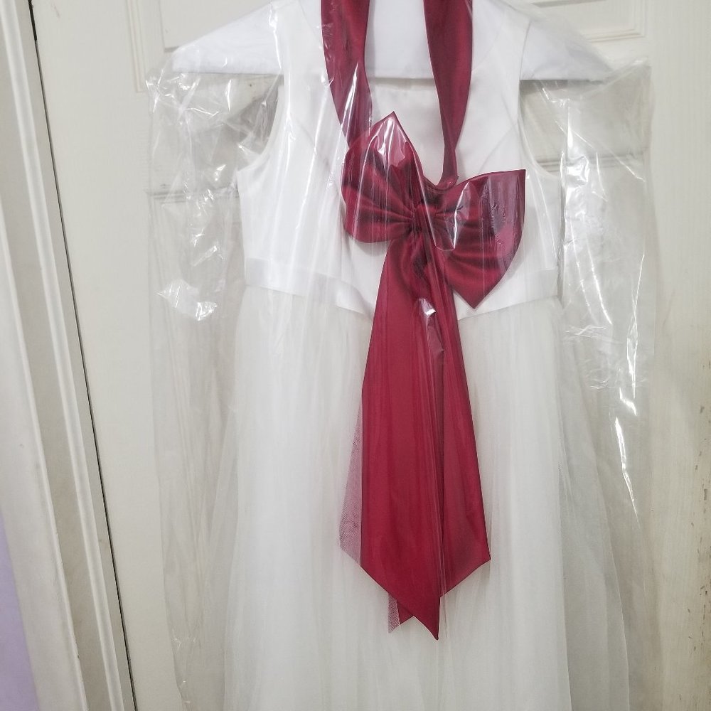 David's Bridal Flower Girl Dress - Size 10 - White and Apple Red
